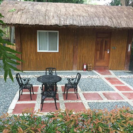 Buenavista Family Inn Tagudin Экстерьер фото