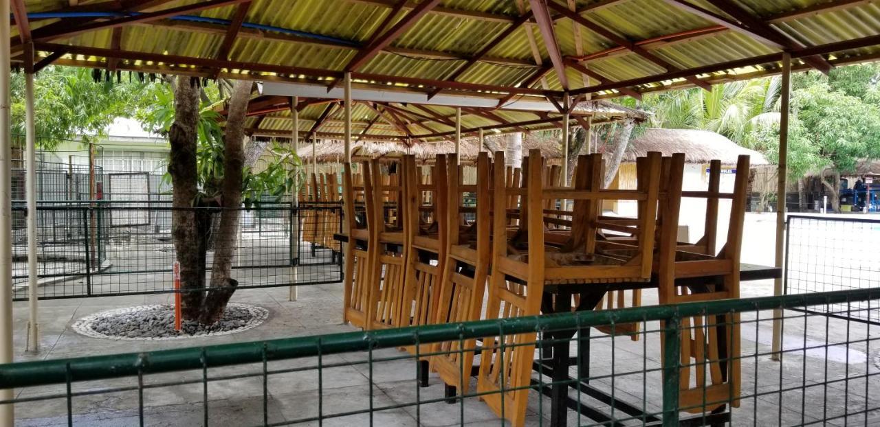 Buenavista Family Inn Tagudin Экстерьер фото