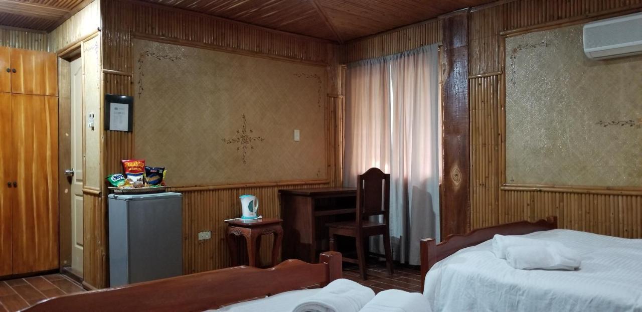 Buenavista Family Inn Tagudin Экстерьер фото